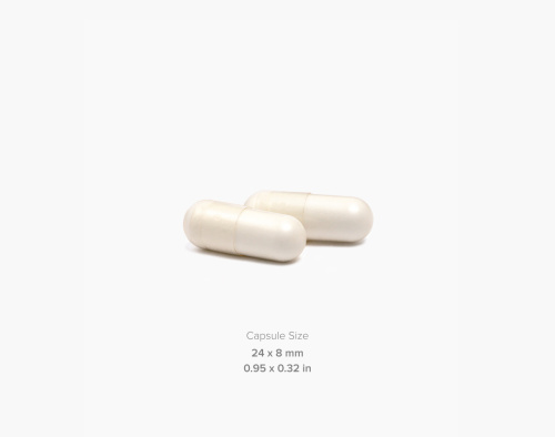 MAXLER Liver Support 60 vcaps фото 3 MAXLER Liver Support 60 vcaps фото 3
