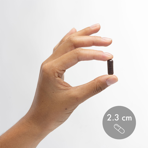 Fermented Elderberry (Органическая Ферментированная Бузина) 60 капсул (Dr. Mercola) фото 2