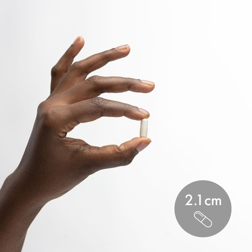 L-Glycine 500 мг 180 капсул (Dr. Mercola) фото 3