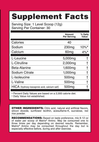 Matrix Bcaa Amino Blend (БЦАА + L-Цитруллин) 370 грамм (Syntrax) фото 3