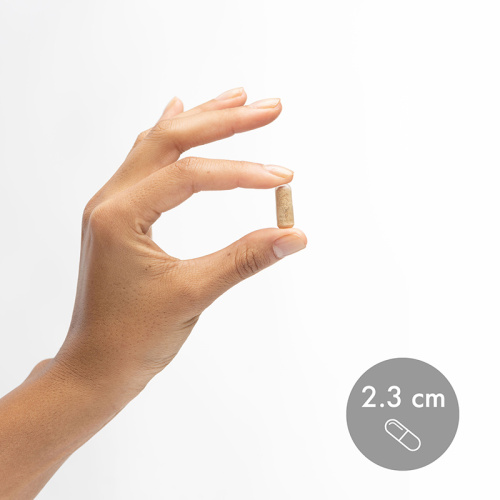 Complete Probiotics 70 Billion CFU (Пробиотики)30 капсул (Dr. Mercola) фото 2