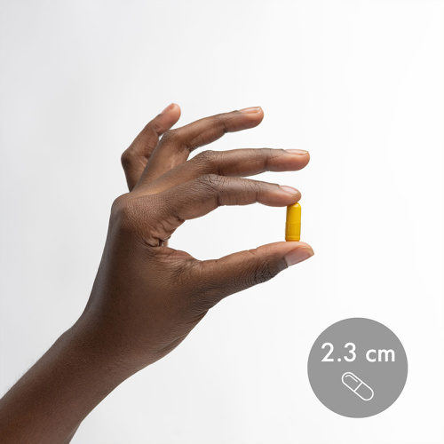 Curcumin 500 mg (Куркумин 500 мг с улучшенной рецептурой) 30 капсул (Dr. Mercola) фото 3